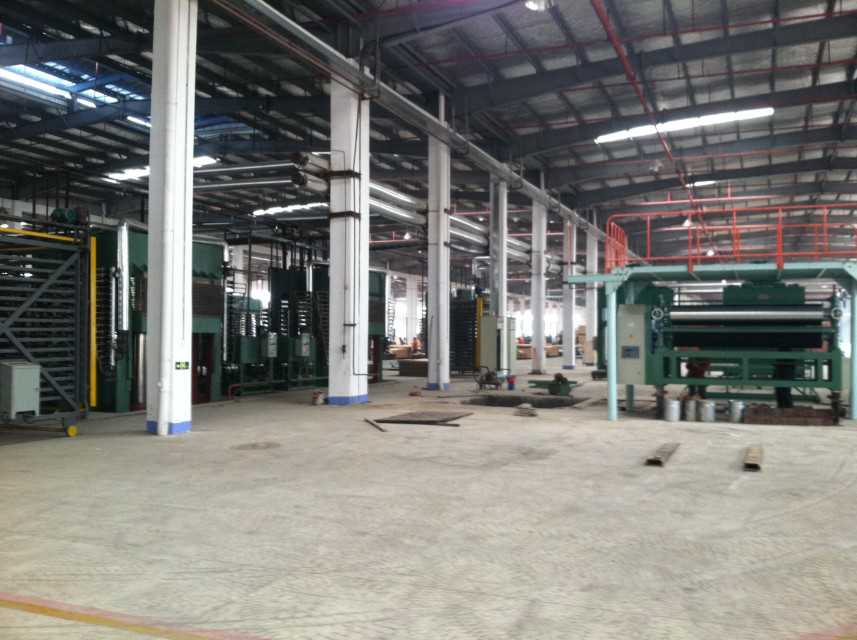Qingdao Everise Int'l Co. Ltd.